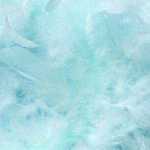 Meet your Posher, Bella